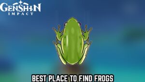 Read more about the article Best Place To Find Frogs in Genshin Impact