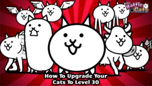 Read more about the article How To Upgrade Your Cats To Level 30 In Battle Cats