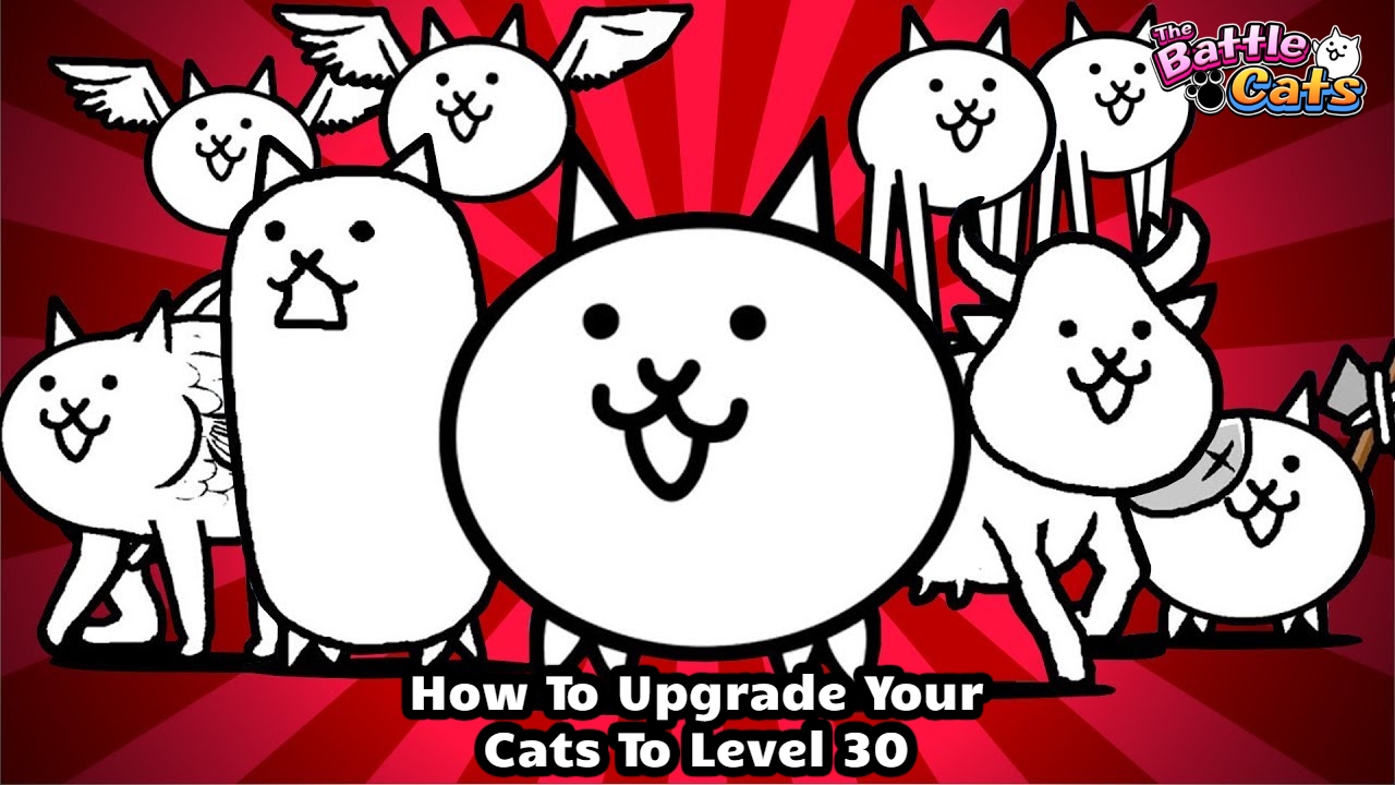 You are currently viewing How To Upgrade Your Cats To Level 30 In Battle Cats