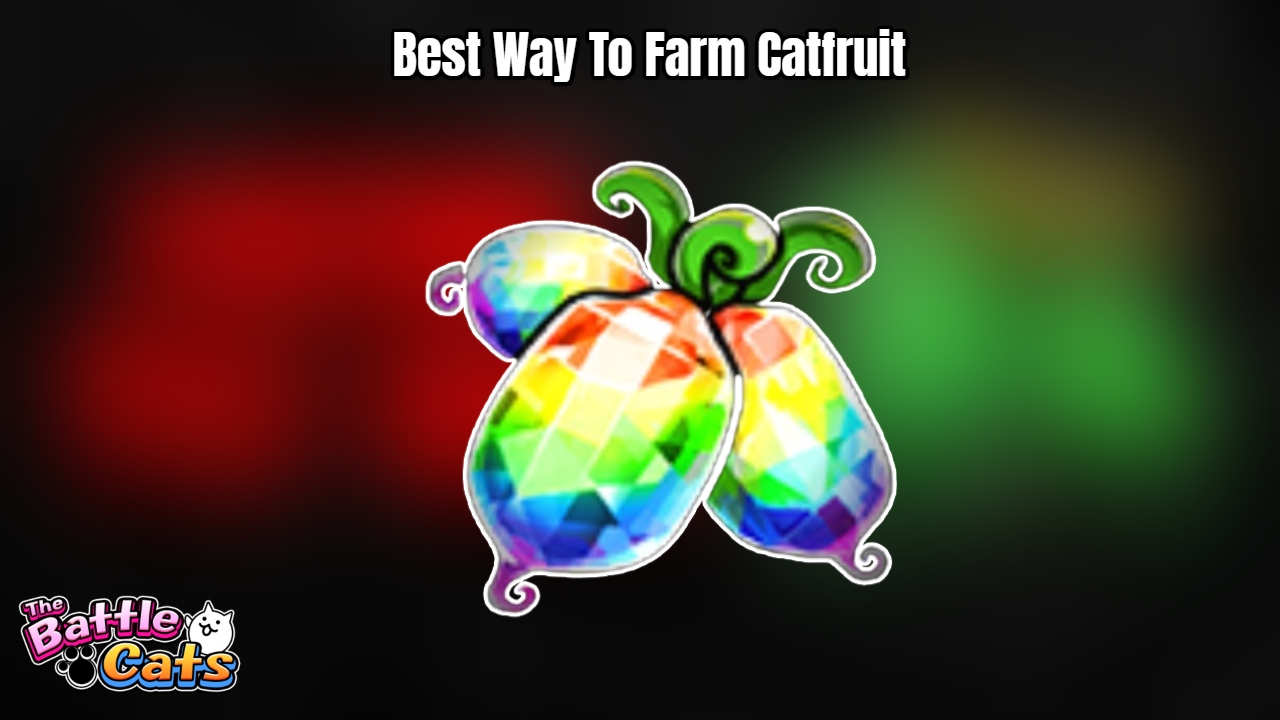 You are currently viewing Best Way To Farm Catfruit In Battle Cats