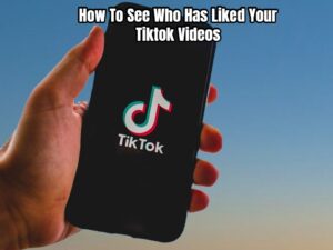Read more about the article How To See Who Has Liked Your Tiktok Videos