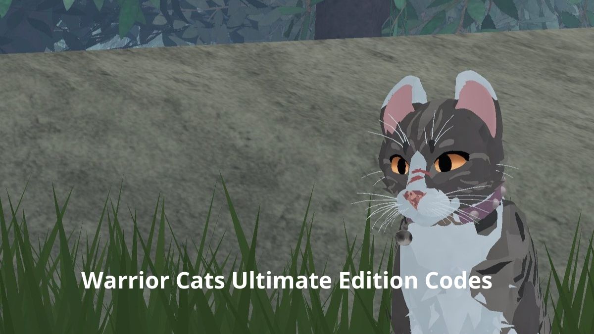 NEW* ALL WORKING CODES FOR WARRIOR CATS IN 2023! ROBLOX WARRIOR CATS  ULTIMATE EDITION CODES 