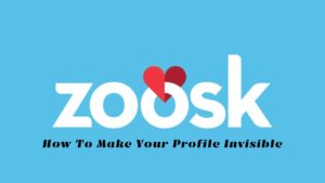 Read more about the article How To Make Your Profile Invisible On Zoosk
