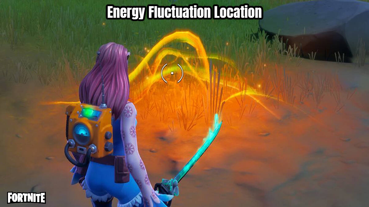 You are currently viewing Energy Fluctuation Location In Fortnite
