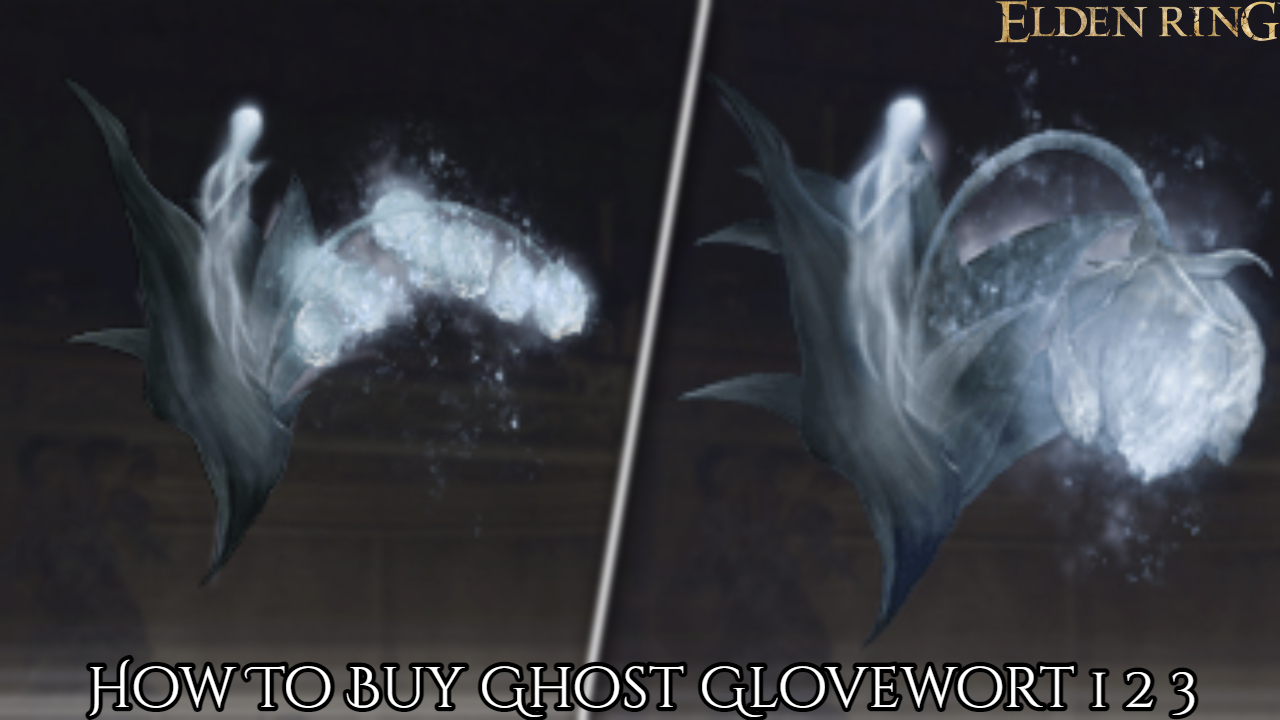 You are currently viewing How To Buy Ghost Glovewort 1 2 3 In Elden Ring
