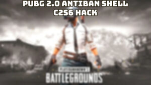 Read more about the article PUBG 2.0 Antiban Shell C2S6 Hack