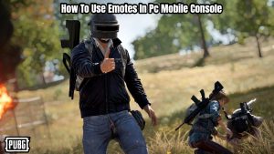 Read more about the article How To Use Emotes In PUBG Pc Mobile Console
