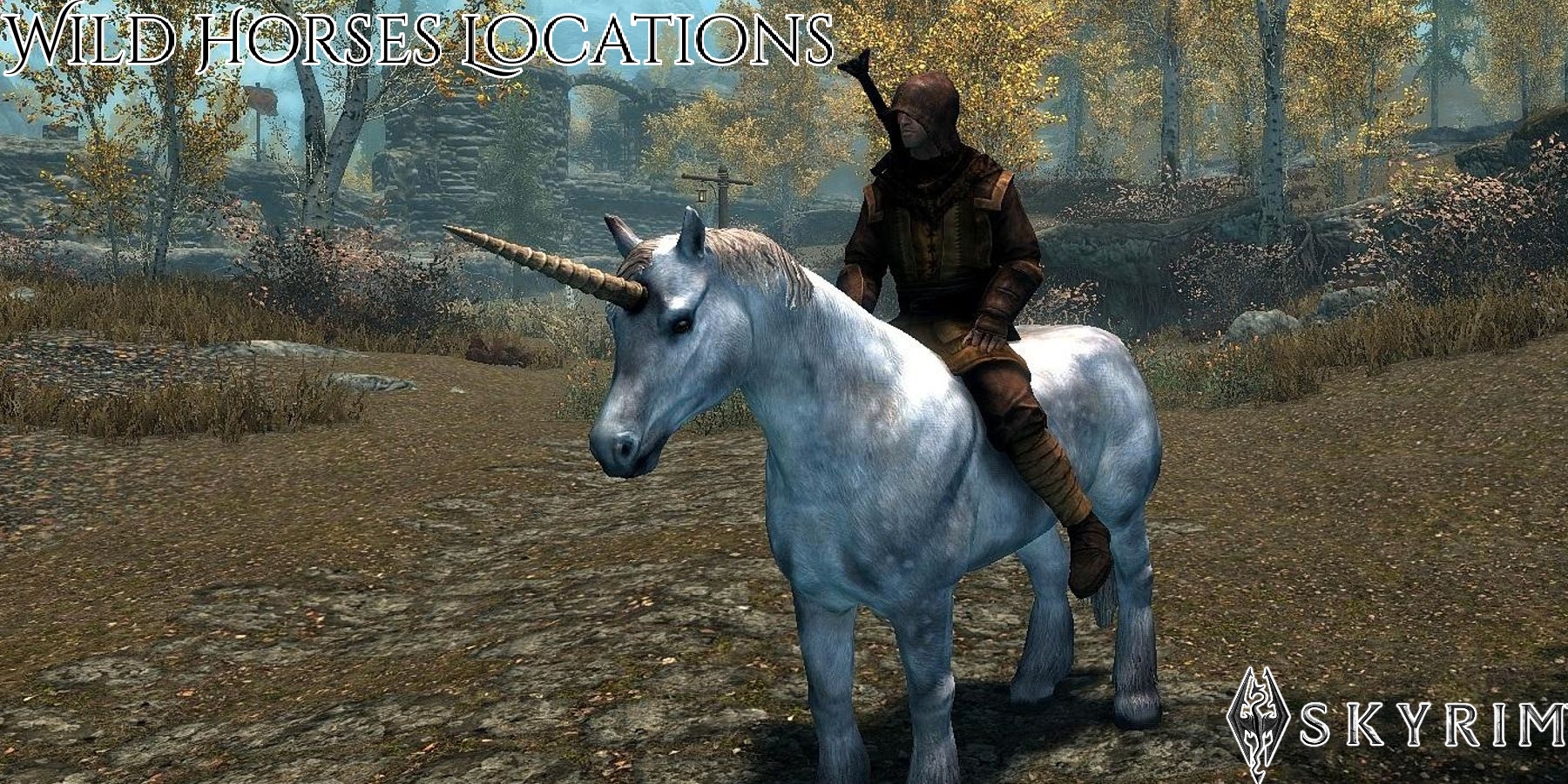 Read more about the article Wild Horses Locations In Skyrim