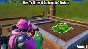 Read more about the article How To Throw A Cabbage 100 Meters In Fortnite