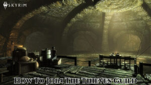 Read more about the article How To Join The Thieves Guild In Skyrim
