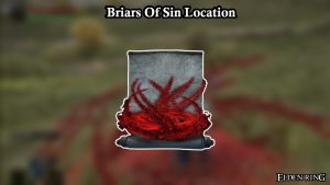 Read more about the article Briars Of Sin Location In Elden Ring