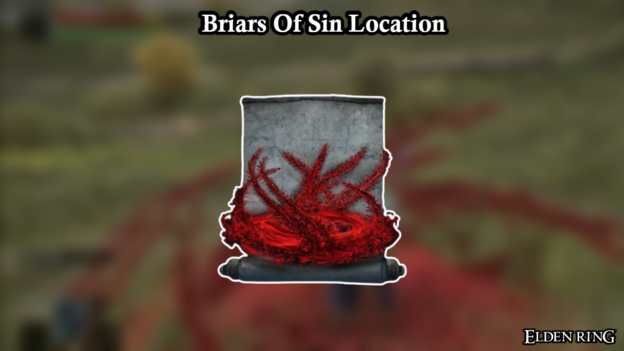 You are currently viewing Briars Of Sin Location In Elden Ring