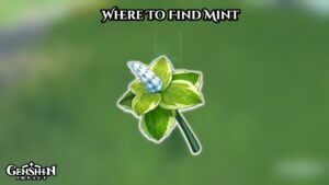 Read more about the article Where To Find Mint In Genshin Impact
