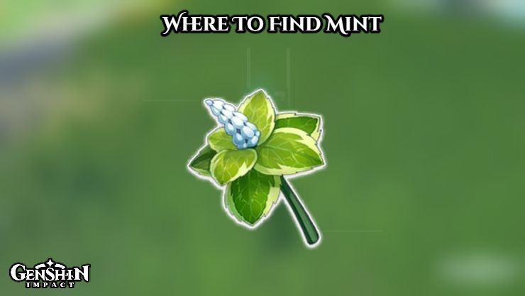You are currently viewing Where To Find Mint In Genshin Impact