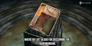 Read more about the article Where Do I Get Blood For Discerning The Transmundane In Skyrim