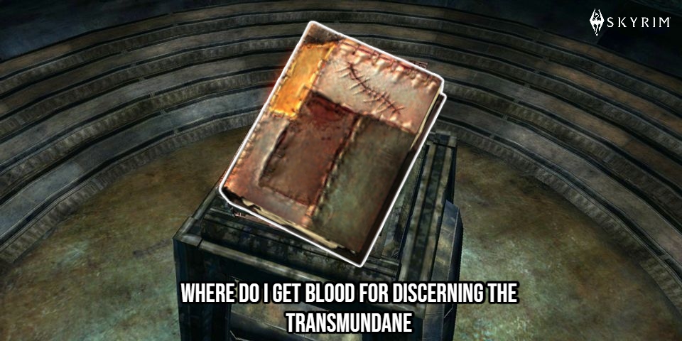 You are currently viewing Where Do I Get Blood For Discerning The Transmundane In Skyrim
