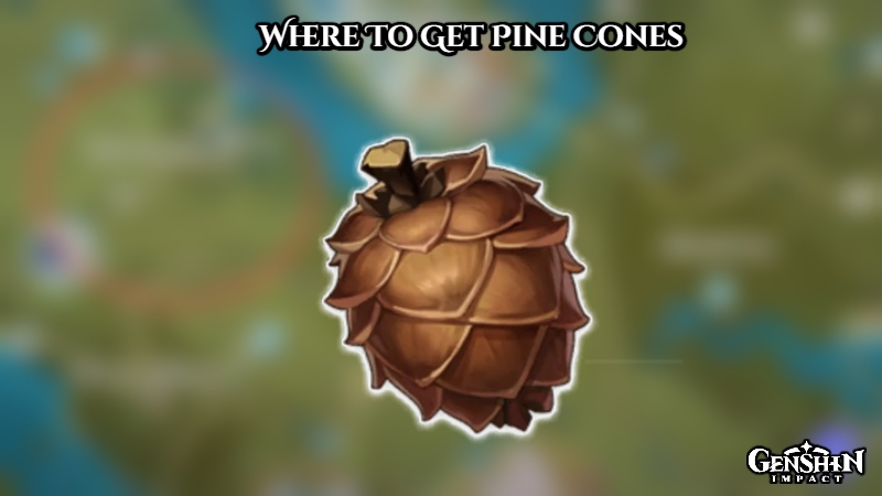 Read more about the article Where To Get Pine Cones In Genshin Impact