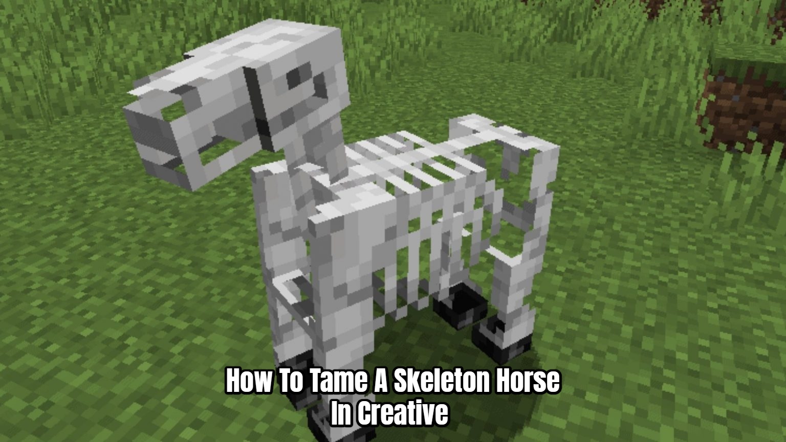 You are currently viewing How To Tame A Skeleton Horse In Minecraft Creative 