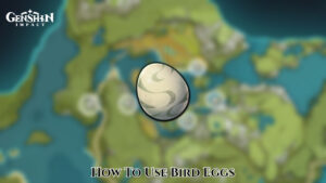 Read more about the article How To Use Bird Eggs In Genshin Impact