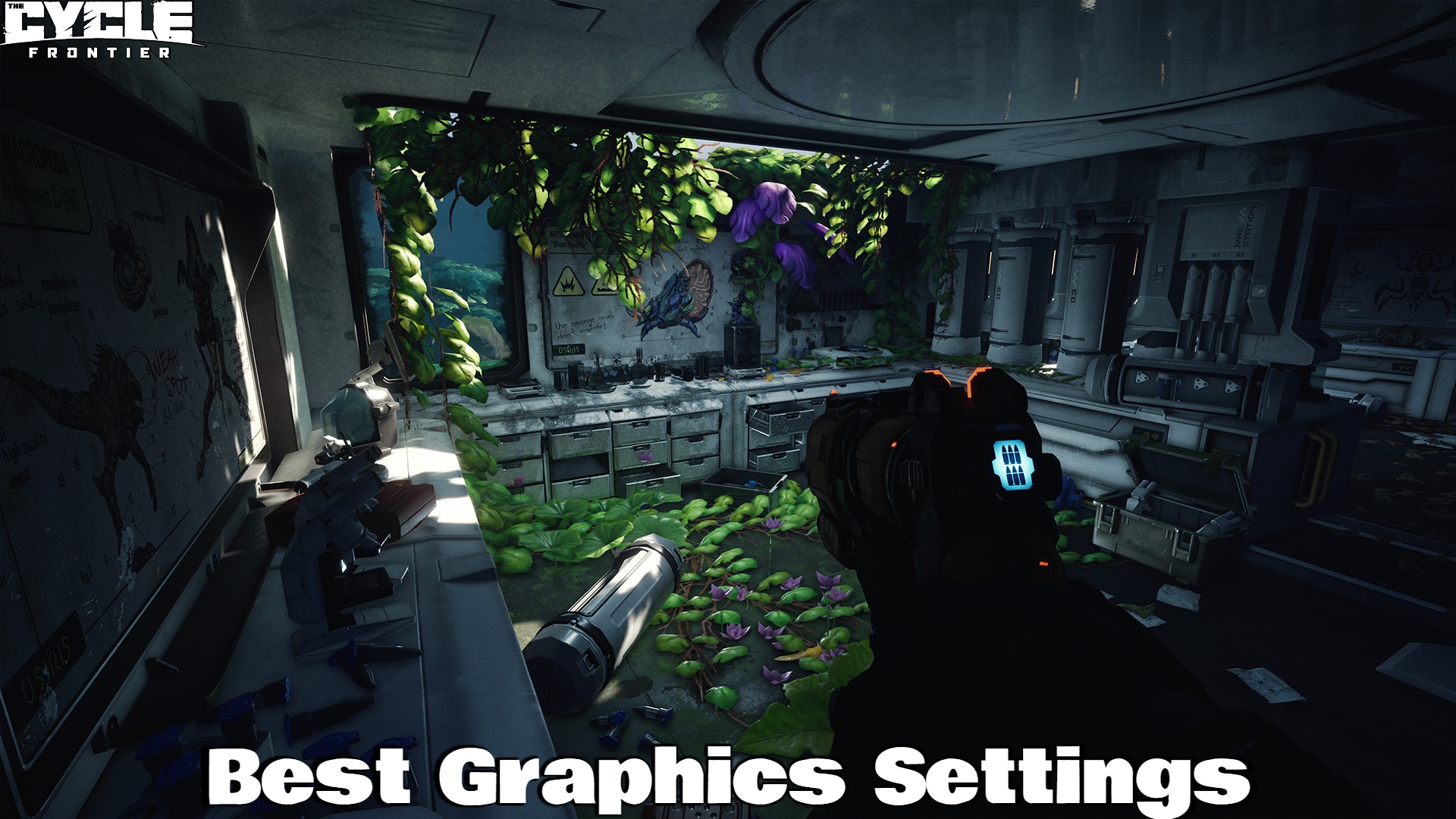 You are currently viewing Best Graphics Settings For The Cycle Frontier
