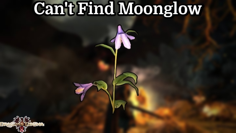 Read more about the article Can’t Find Moonglow In Dragon’s Dogma