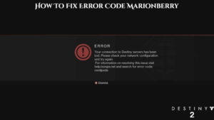 Read more about the article Destiny 2: How To Fix Error Code Marionberry