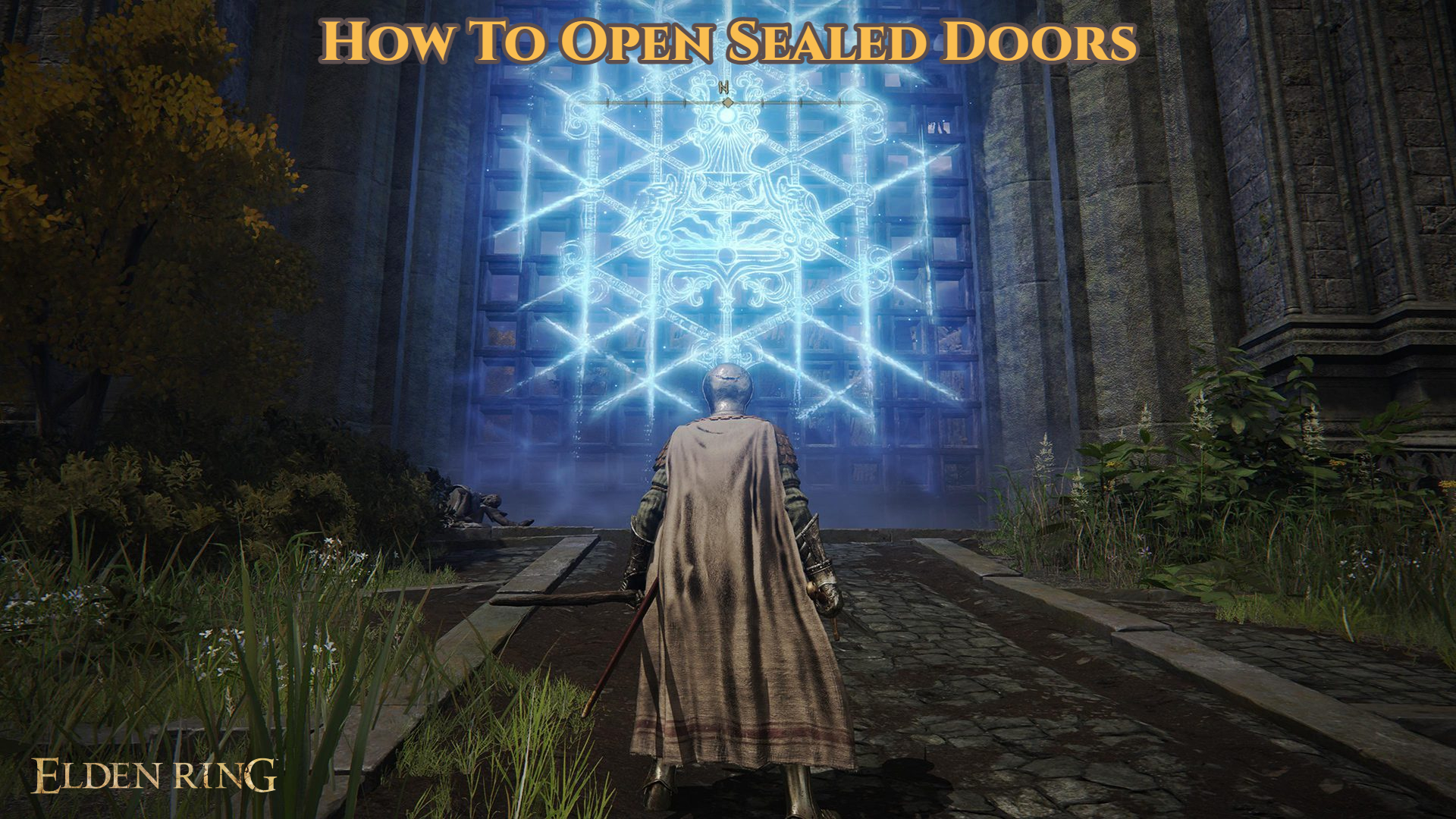 Read more about the article How To Open Sealed Doors Elden Ring