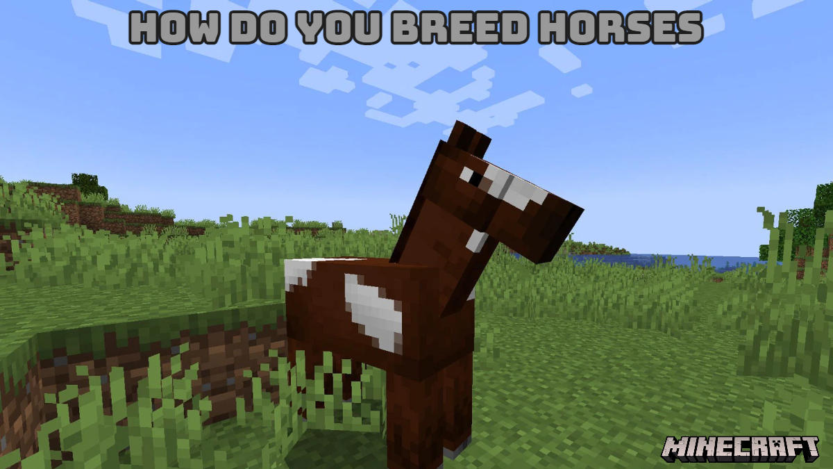 You are currently viewing How Do You Breed Horses In Minecraft 2022