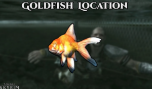 Read more about the article Goldfish Location In Skyrim
