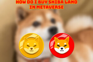 Read more about the article How Do I Buy Shiba Land In Metaverse
