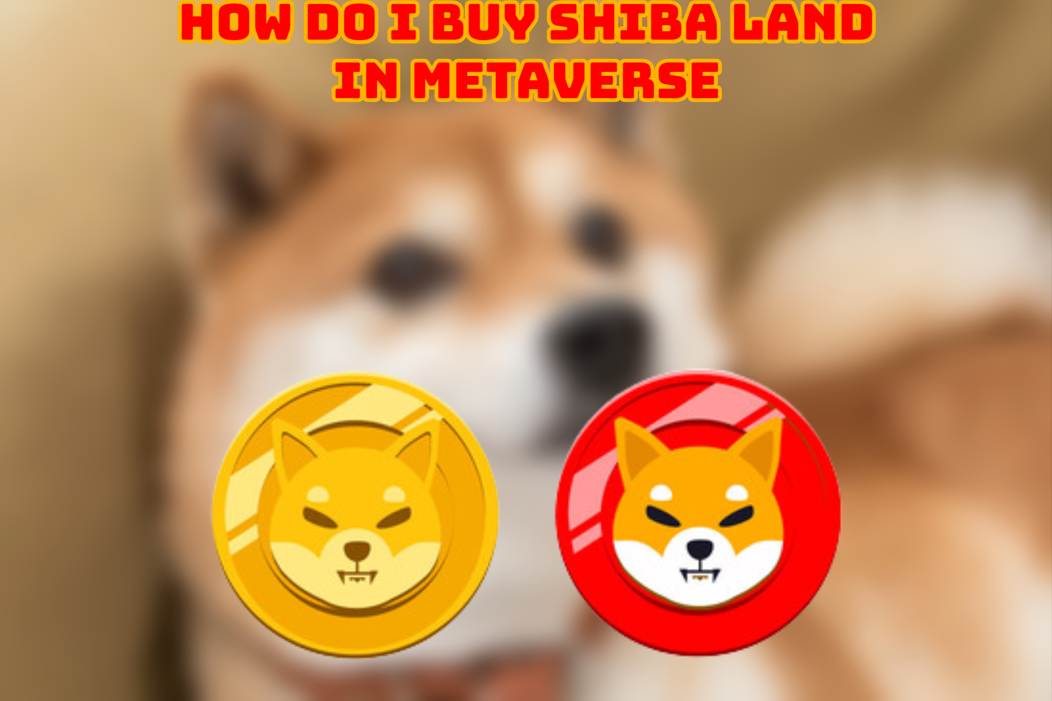 Read more about the article How Do I Buy Shiba Land In Metaverse