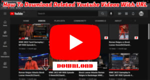 Read more about the article How To Download Deleted Youtube Videos With URL