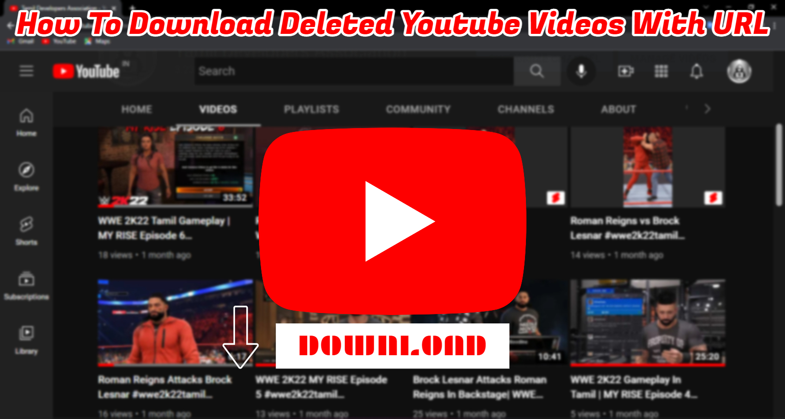 Read more about the article How To Download Deleted Youtube Videos With URL