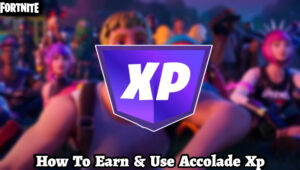 Read more about the article How To Earn & Use Accolade Xp In Fortnite