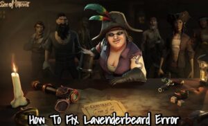 Read more about the article How To Fix Sea Of Thieves Lavenderbeard Error