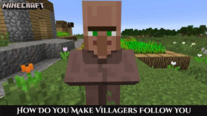 Read more about the article How Do You Make Villagers Follow You In Minecraft