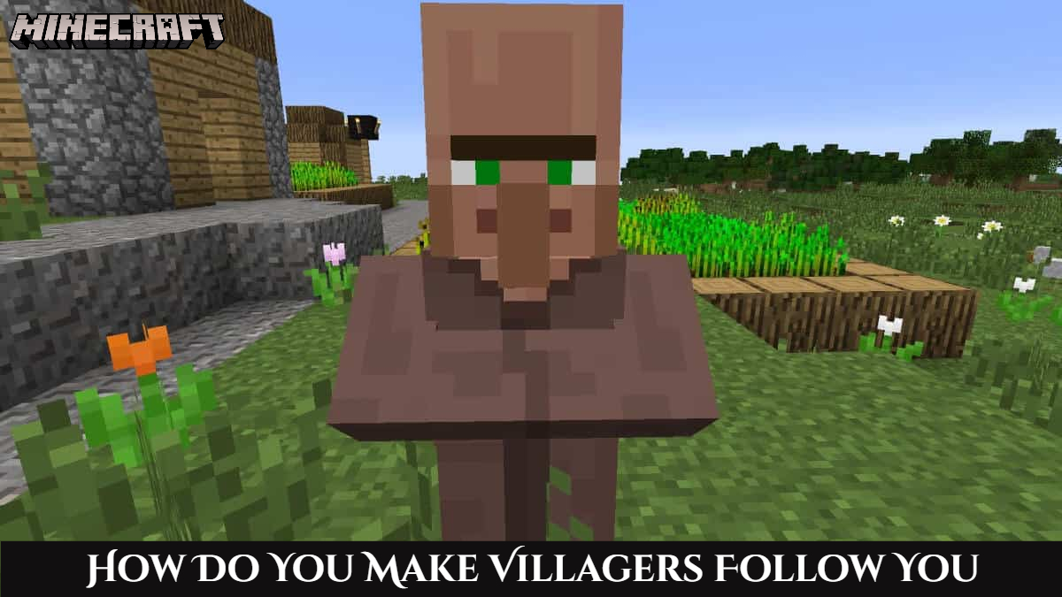 You are currently viewing How Do You Make Villagers Follow You In Minecraft