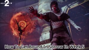 Read more about the article How To Get Bound In Sorrow In Destiny 2 Week 5