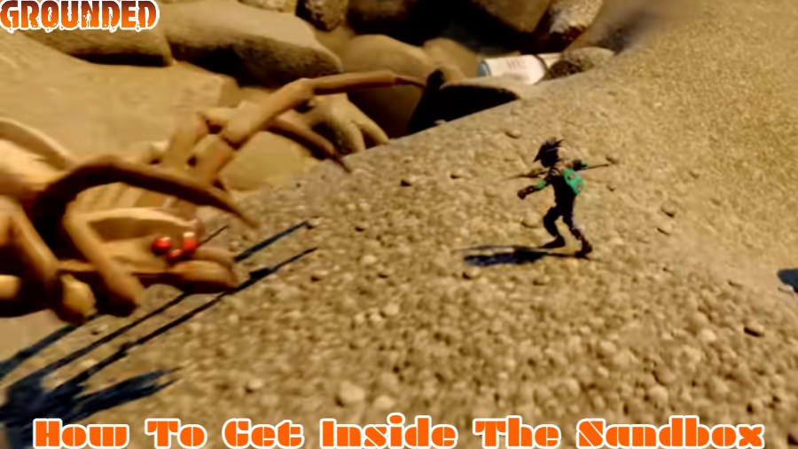 You are currently viewing How To Get Inside The Sandbox Grounded