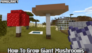 Read more about the article How To Grow Giant Mushrooms In Minecraft