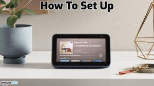 Read more about the article How To Set Up Amazon Echo
