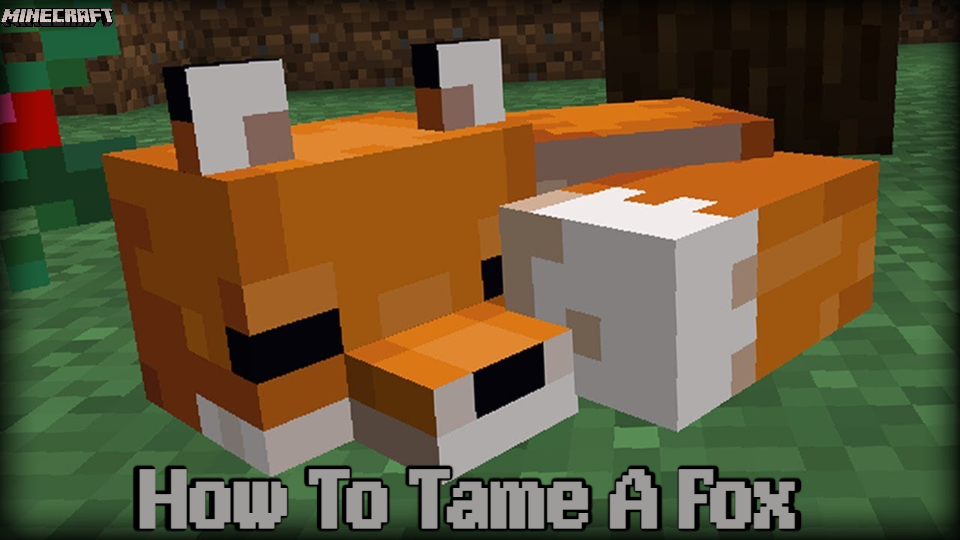 You are currently viewing How To Tame A Fox In Minecraft 2022