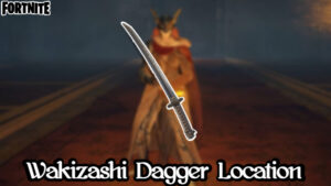 Read more about the article Wakizashi Dagger Location In Elden Ring