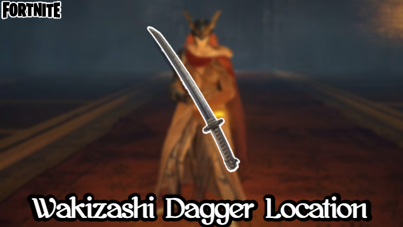 You are currently viewing Wakizashi Dagger Location In Elden Ring