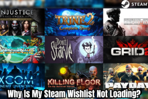Read more about the article Why Is My Steam Wishlist Not Loading?
