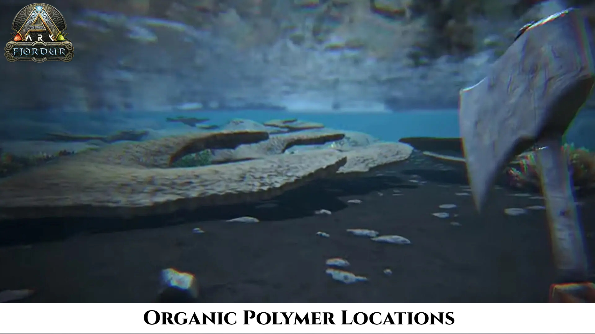 Read more about the article Organic Polymer Locations In Ark Fjordur