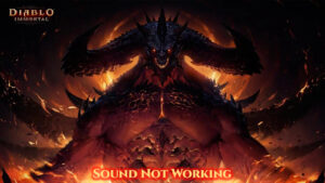 Read more about the article Diablo Immortal Sound Not Working