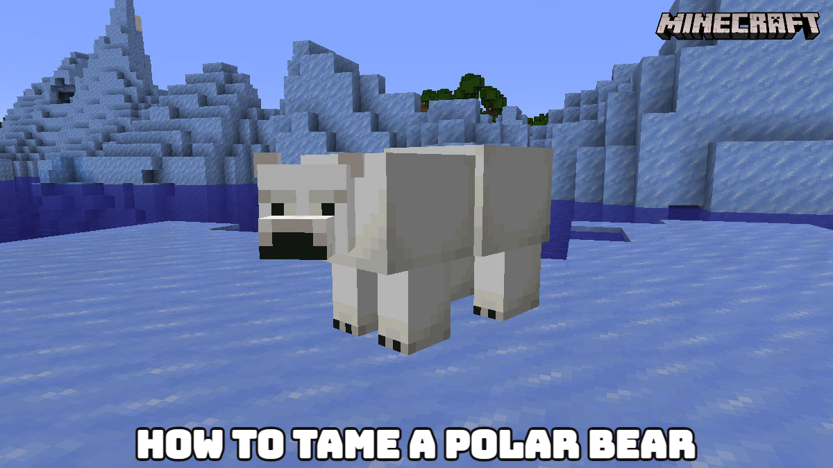 You are currently viewing How To Tame A Polar Bear In Minecraft 2022