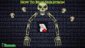 Read more about the article How To Beat Skeletron In Terraria