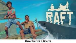 Read more about the article How To Get A Bowel In Raft